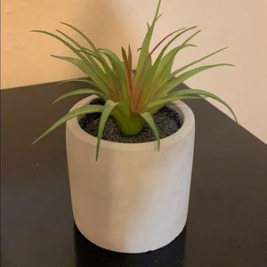 Fake Decorating Plan